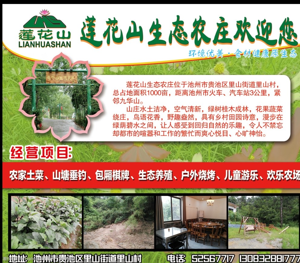 绿色生态有机蔬菜农庄