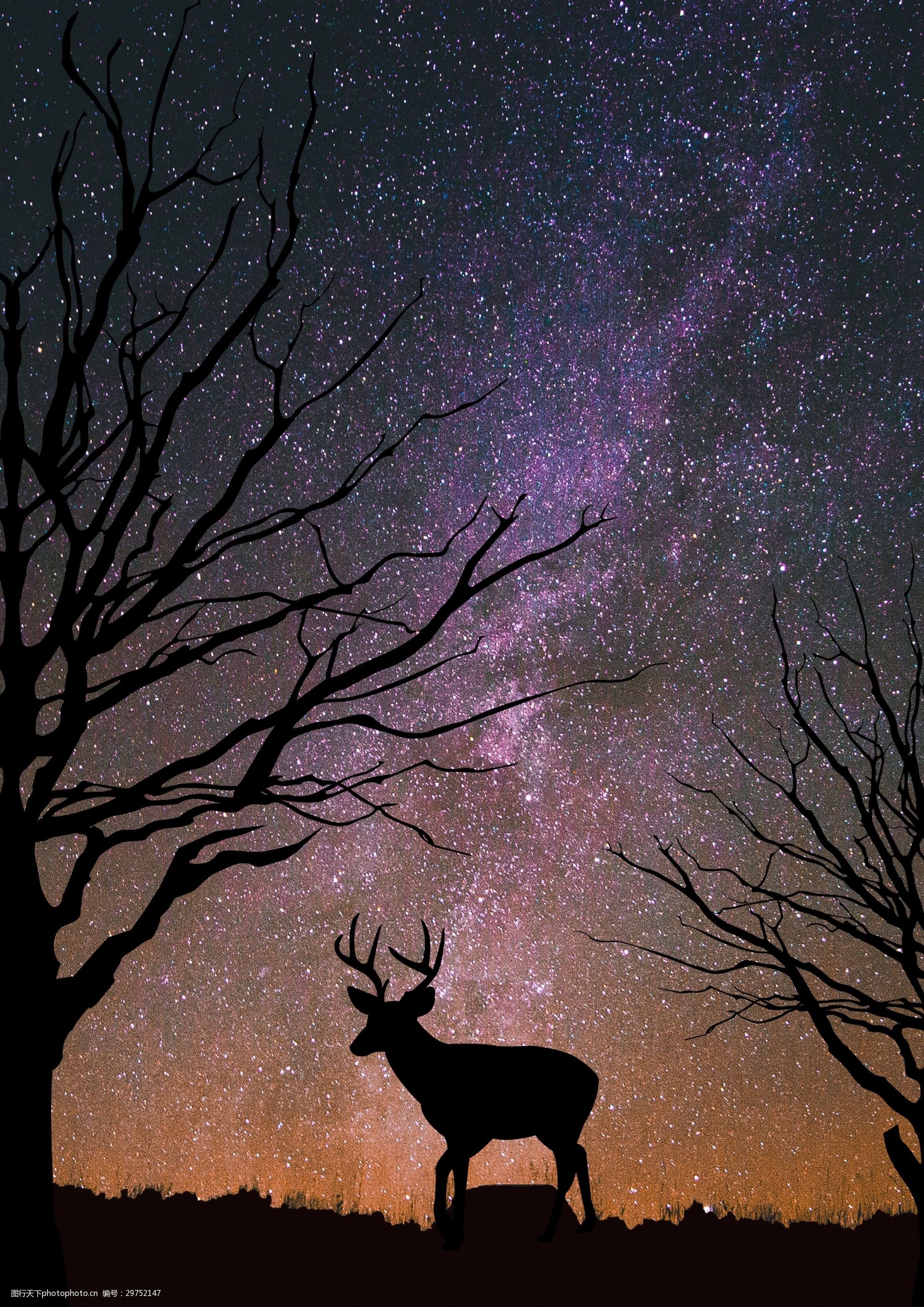森林夜空麋鹿唯美图片图片