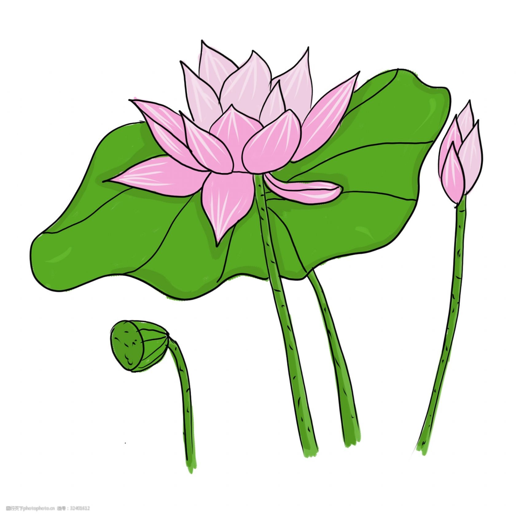 手绘中国风荷花png素材