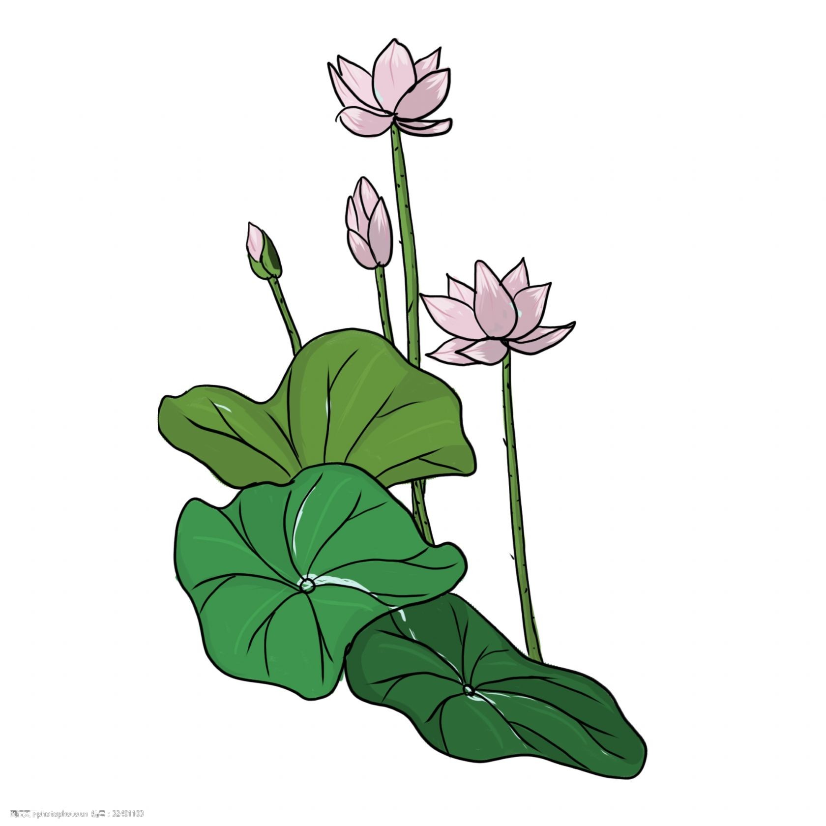 手绘中国风荷花png素材