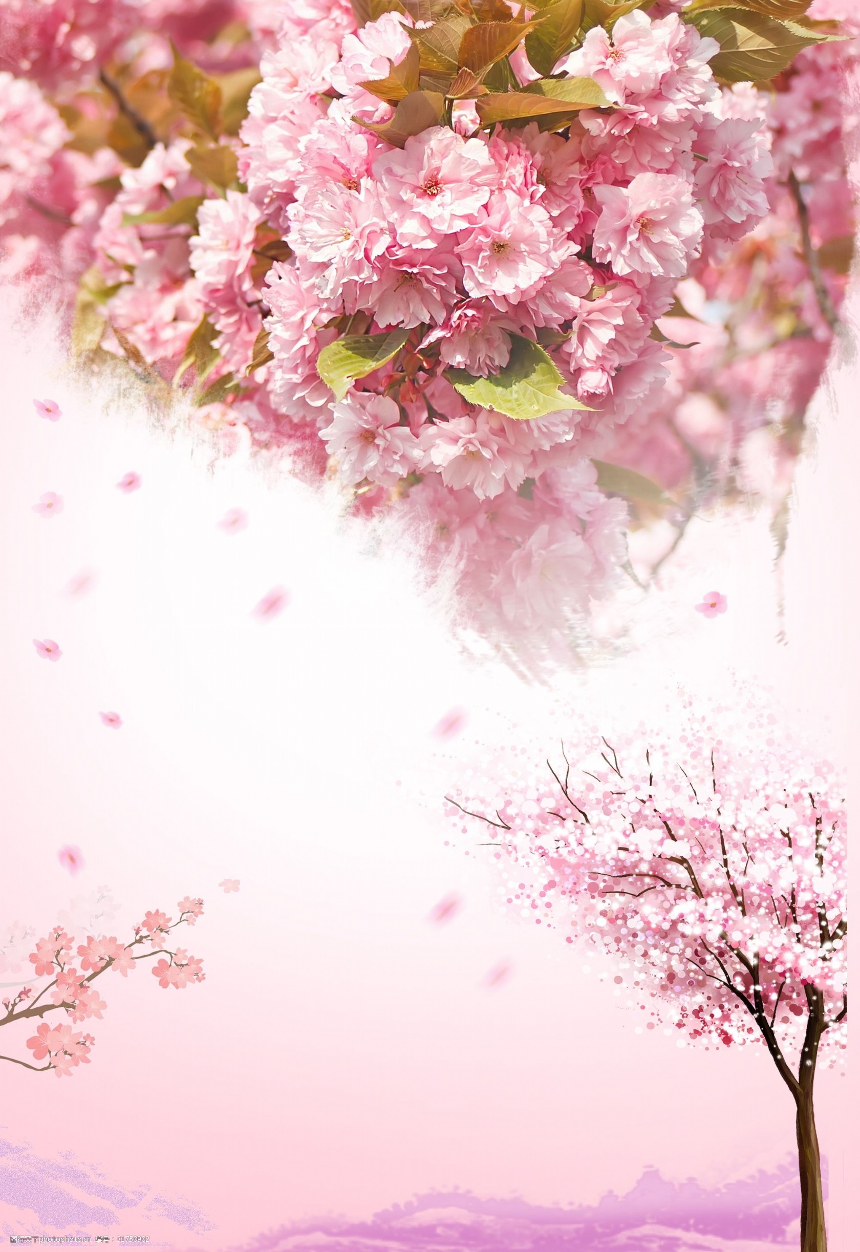 关键词:粉色浪漫樱花背景 浪漫 樱花 花瓣 卡通 渐变 粉色 樱花节