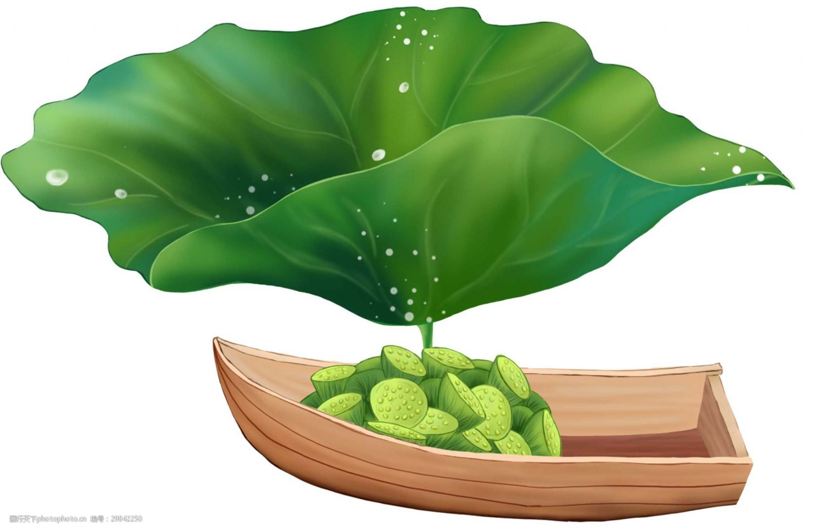 手绘小船莲篷元素