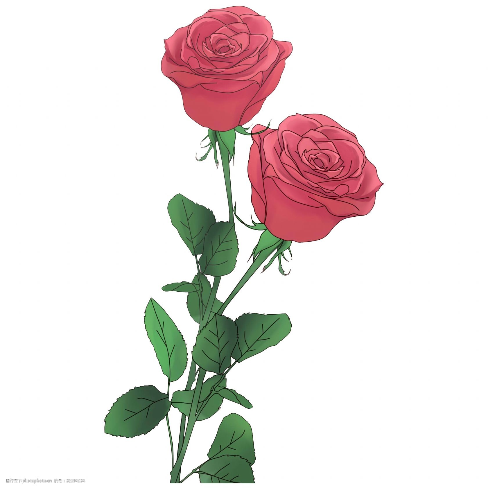 玫瑰花手绘素材简单图片