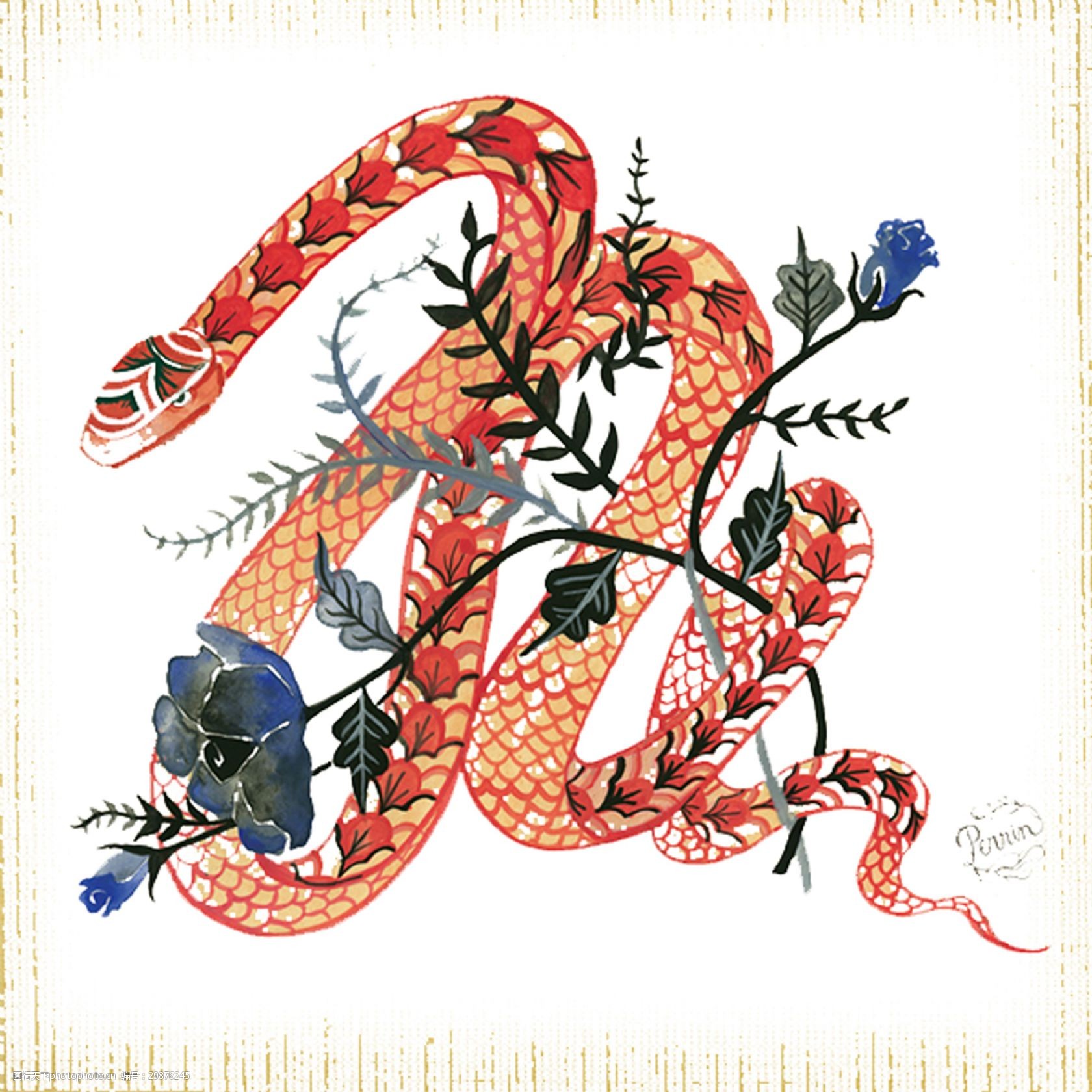 蛇的花纹装饰画图片