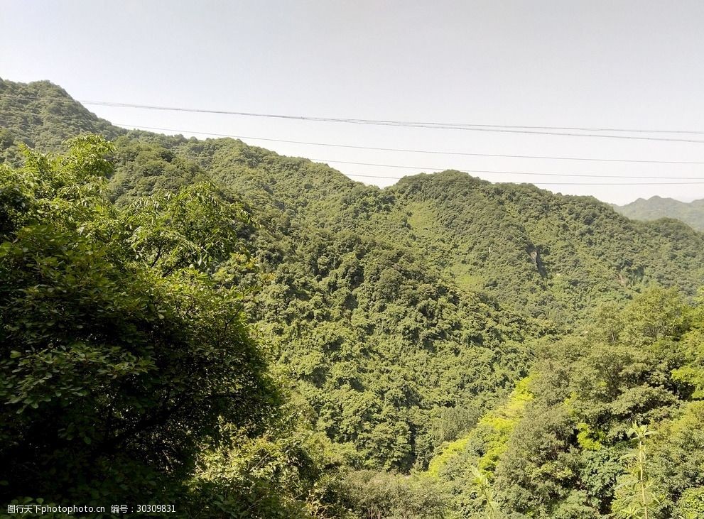 关键词:壮丽的高山风景 高山 大山 壮丽 绿色 森林 美景 多娇江山