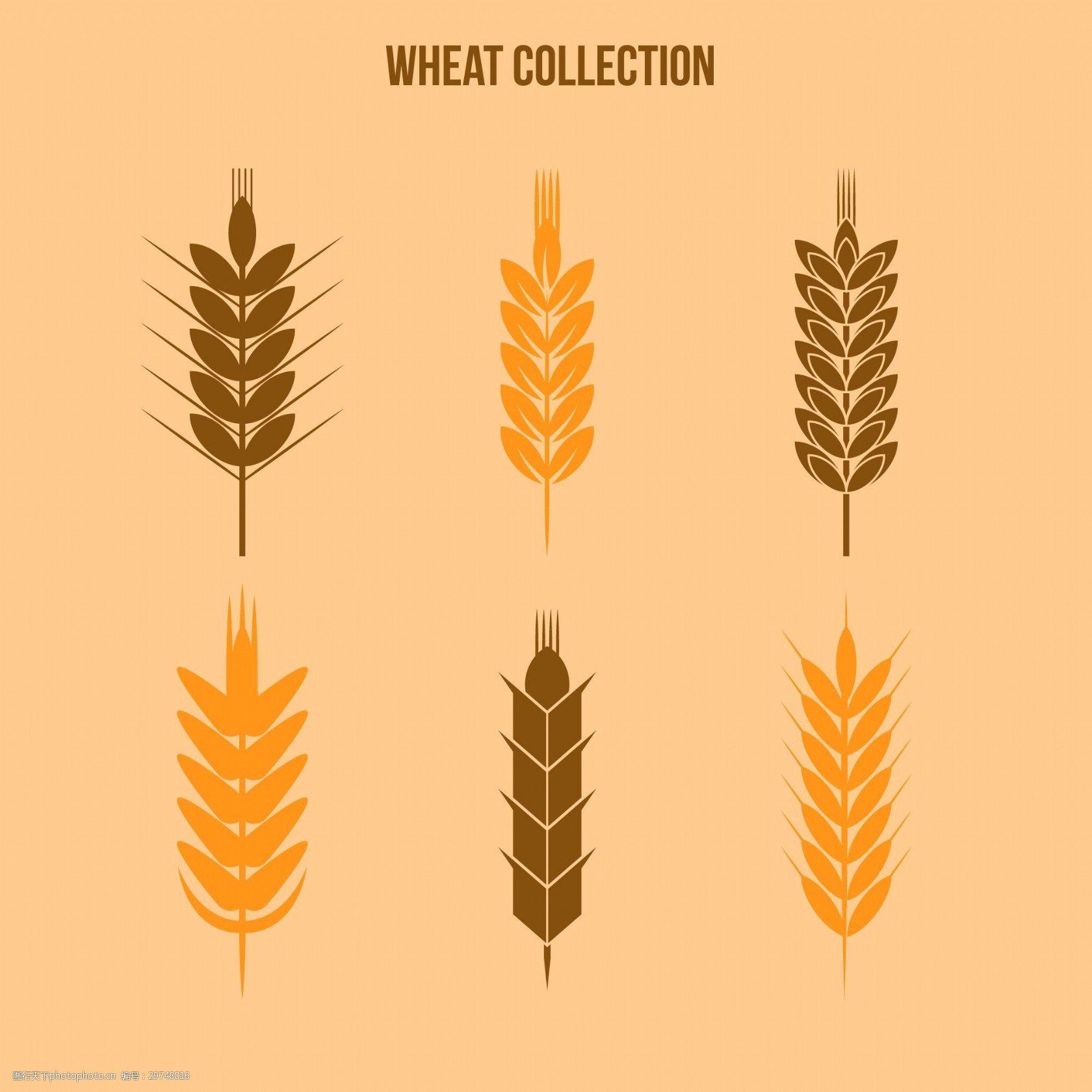 6款小麦合集图案设计