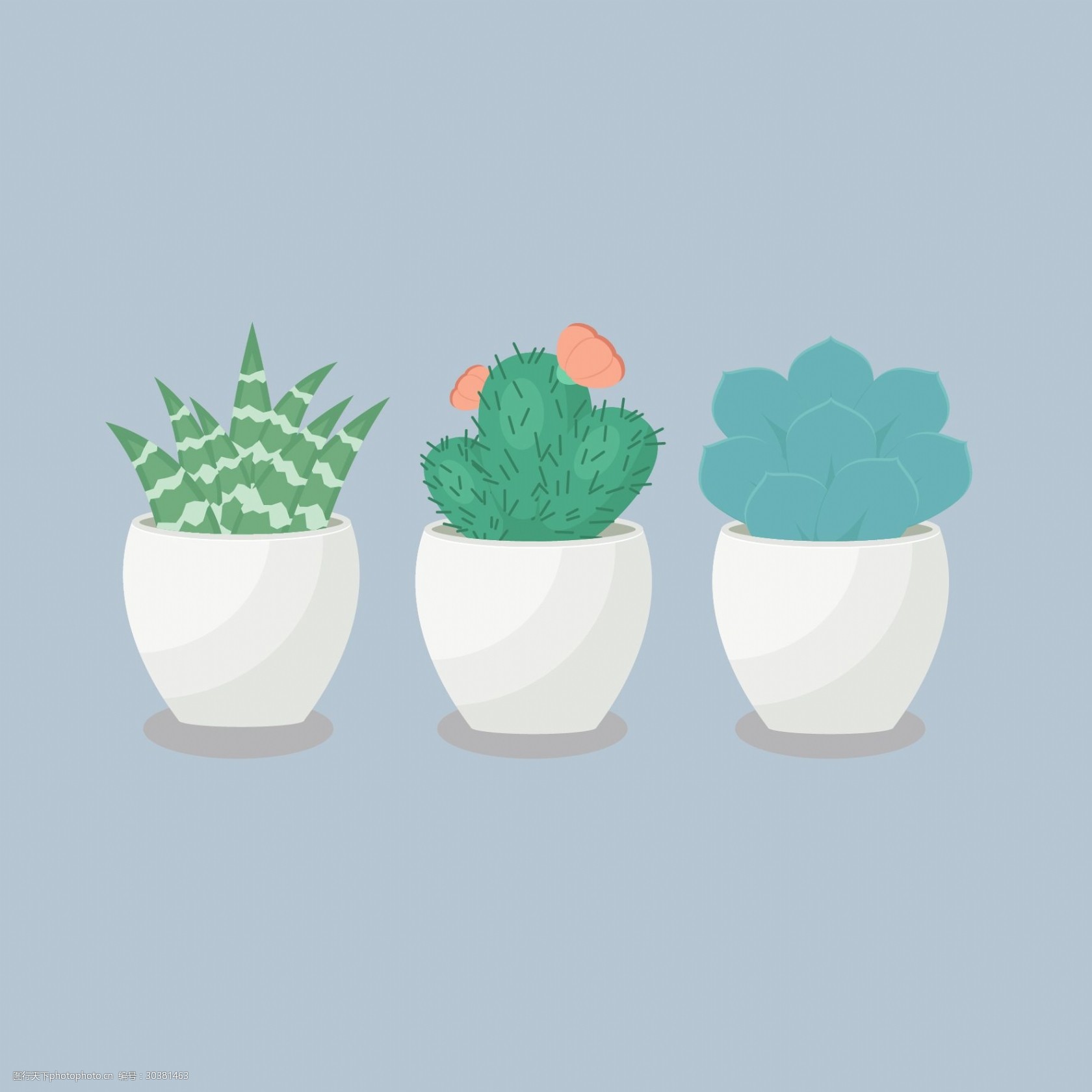 小清新可爱多肉植物矢量