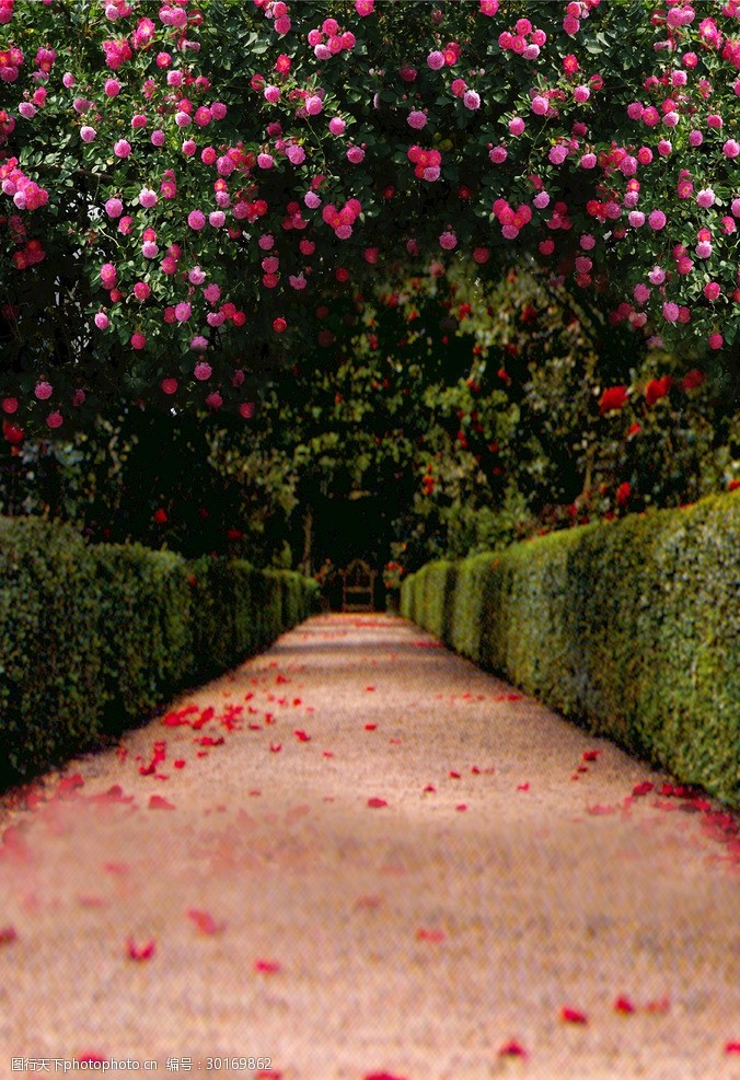 影楼背景模板摄影背景设计