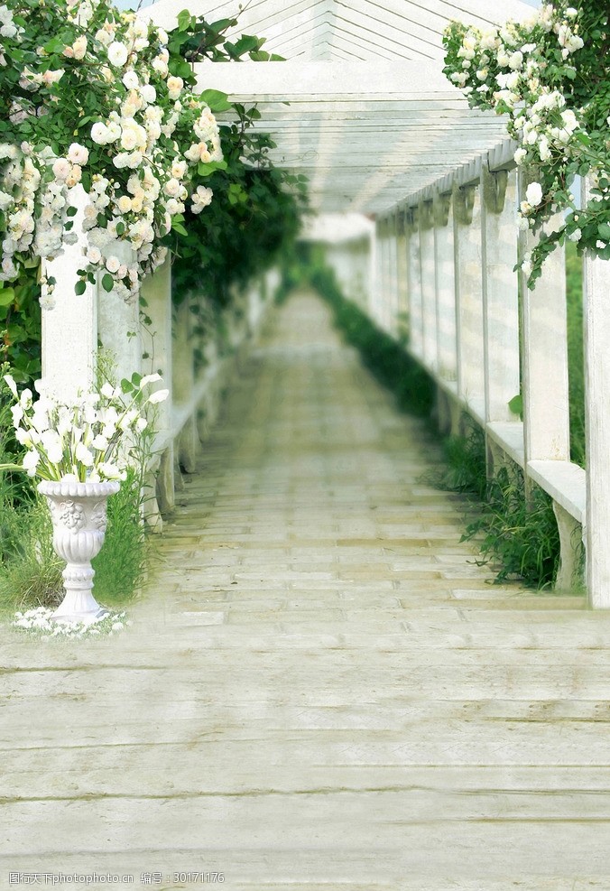 影楼背景模板摄影背景设计