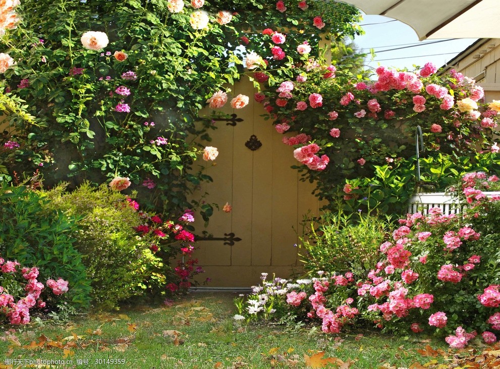 影楼背景模板摄影背景设计