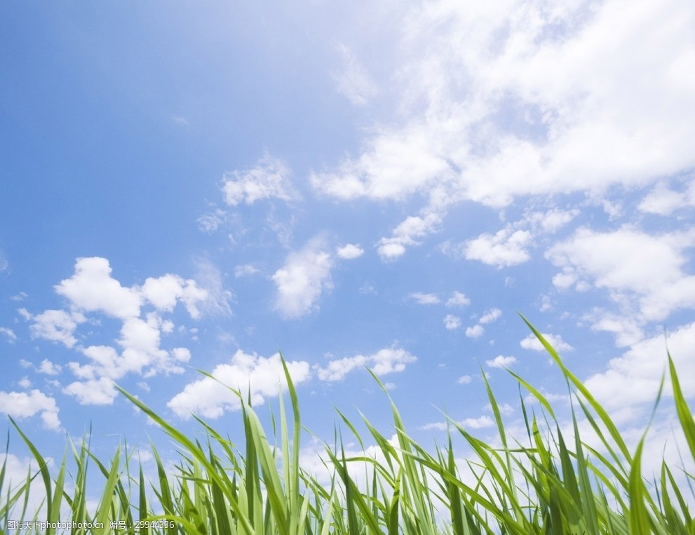 绿色风景图片自然风光