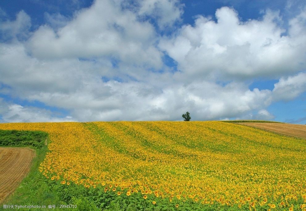 绿色风景图片自然风光图片-图行天下图库