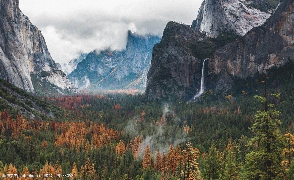 风景壁纸壁画山水森林