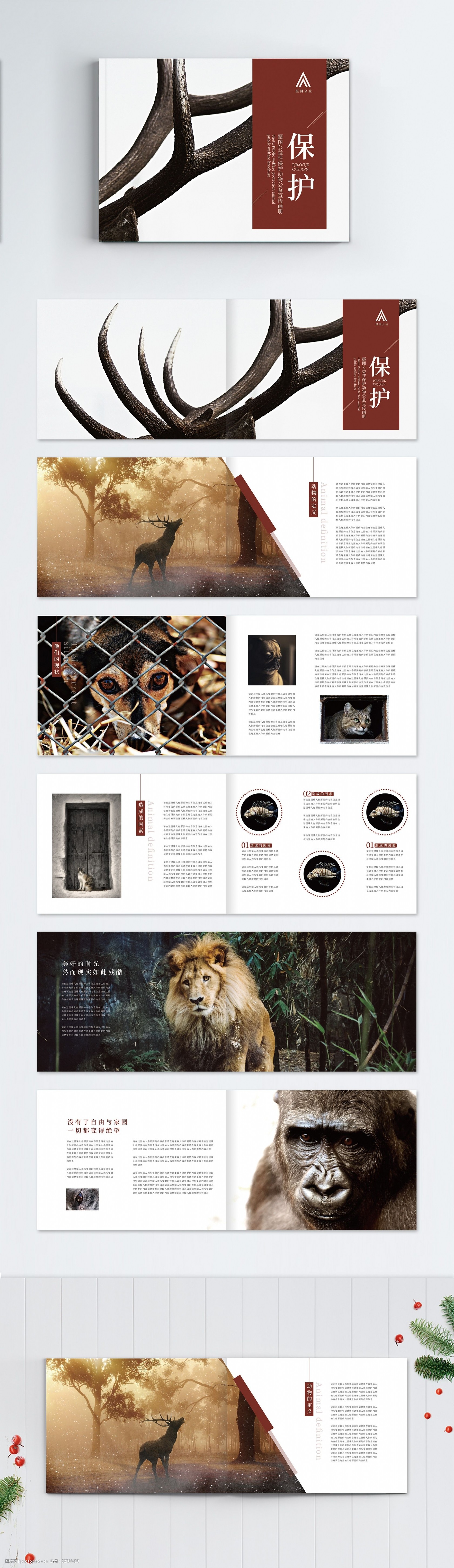 简约大气保护动物公益宣传画册