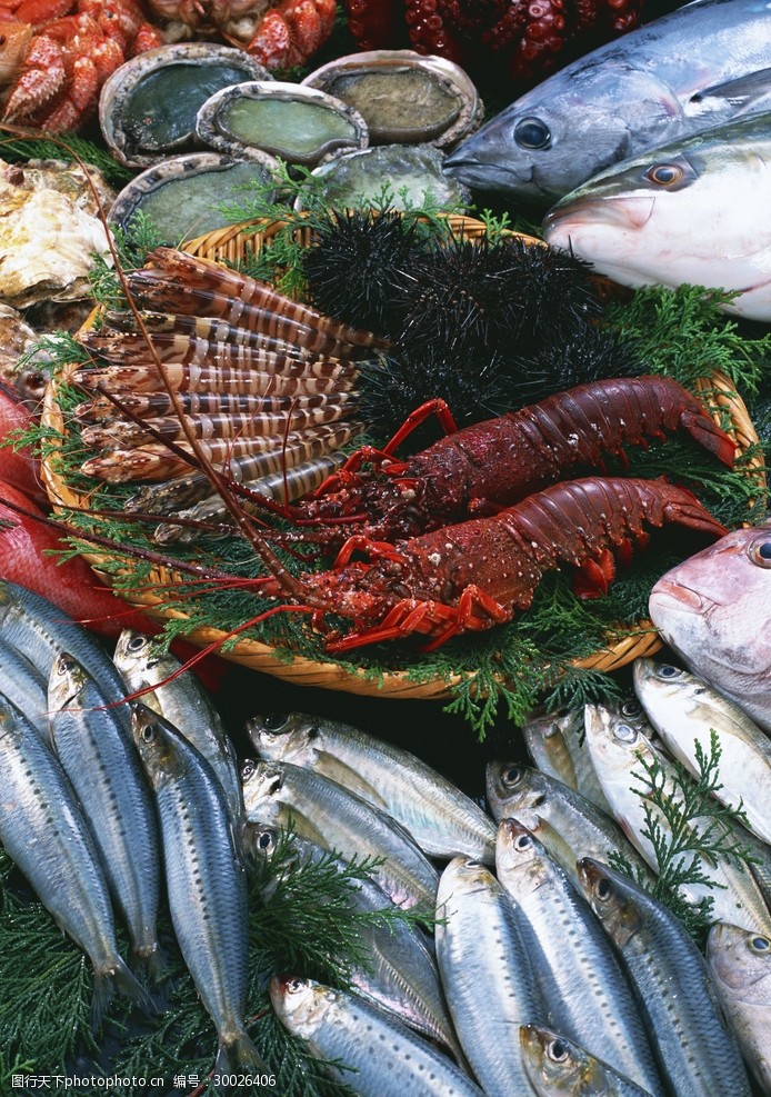 新鮮魚蝦貝蟹類水生物