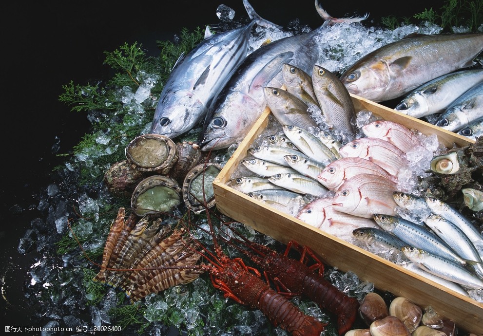 新鲜鱼虾贝蟹类水生物