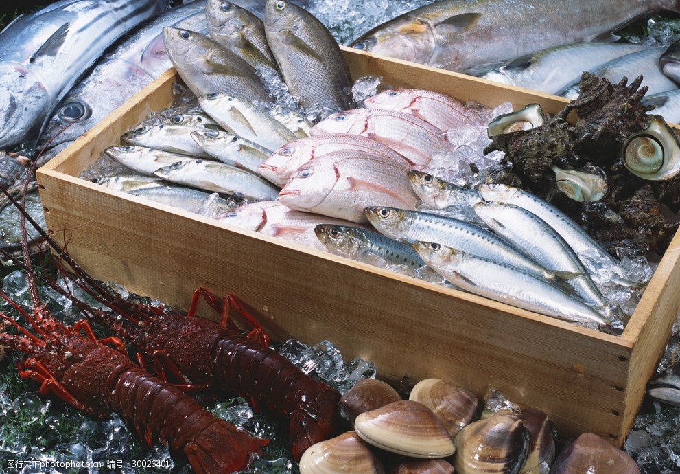新鲜鱼虾贝蟹类水生物