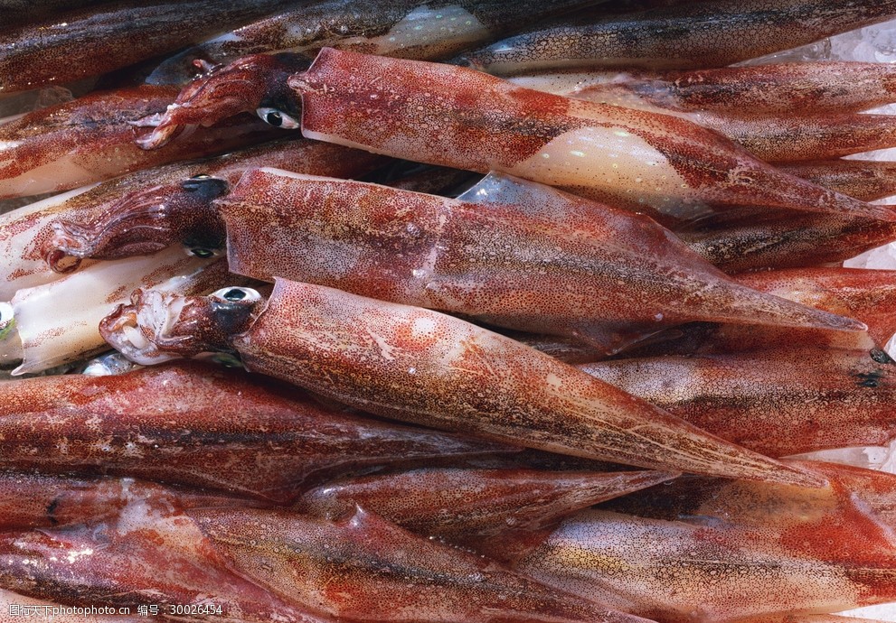 新鲜鱼虾贝蟹类水生物