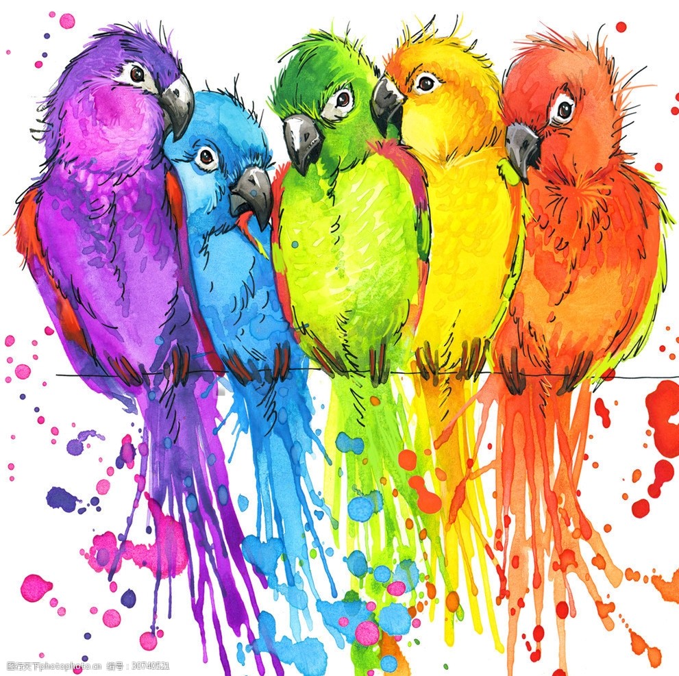 唯美彩绘五只可爱小鹦鹉斑驳溅射
